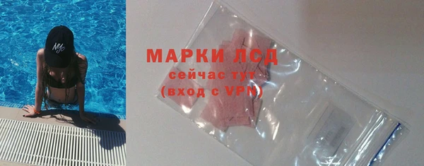 стафф Покачи
