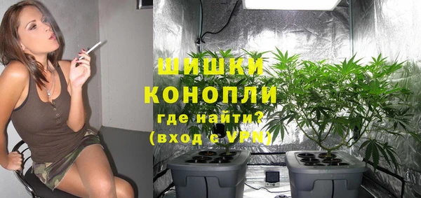 сатива Пролетарск