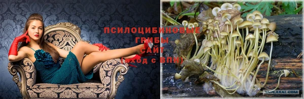 стафф Покачи