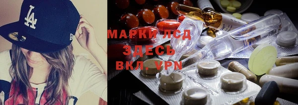 ALPHA PVP Покров